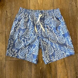 Chubbies Swim Trunks Mens Medium 7" Inseam Pineapple Mesh Lined Shorts Stretch